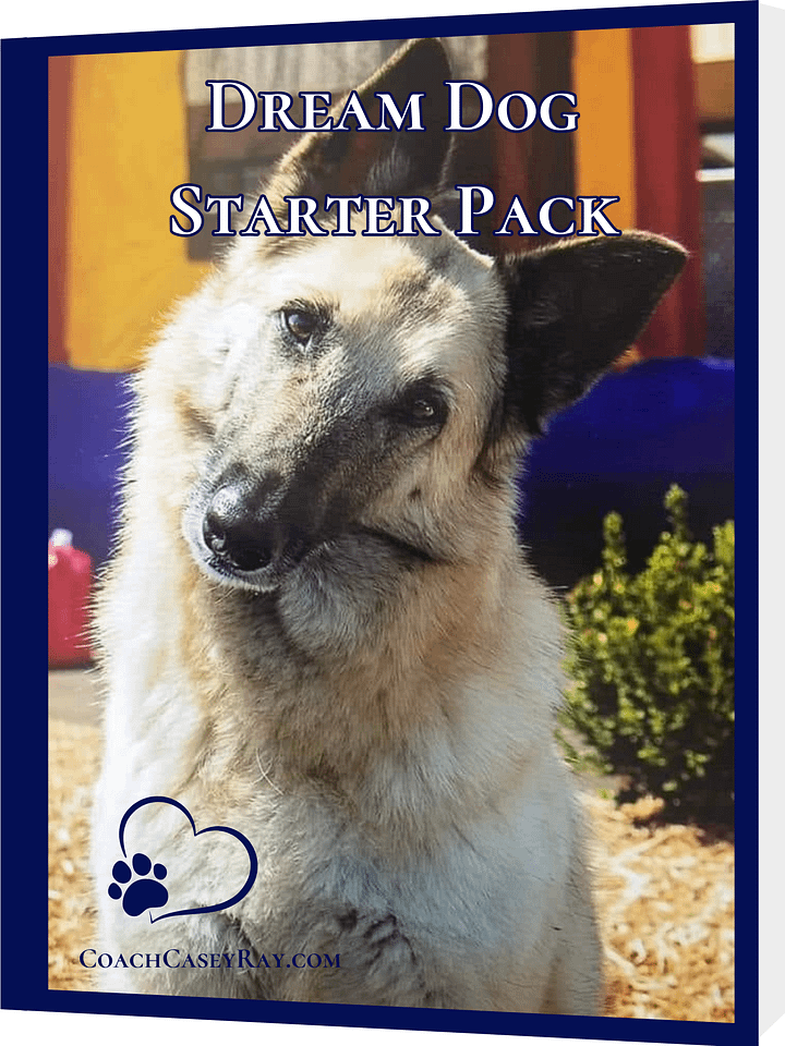 Dream Dog™ Starter Pack product image (1)