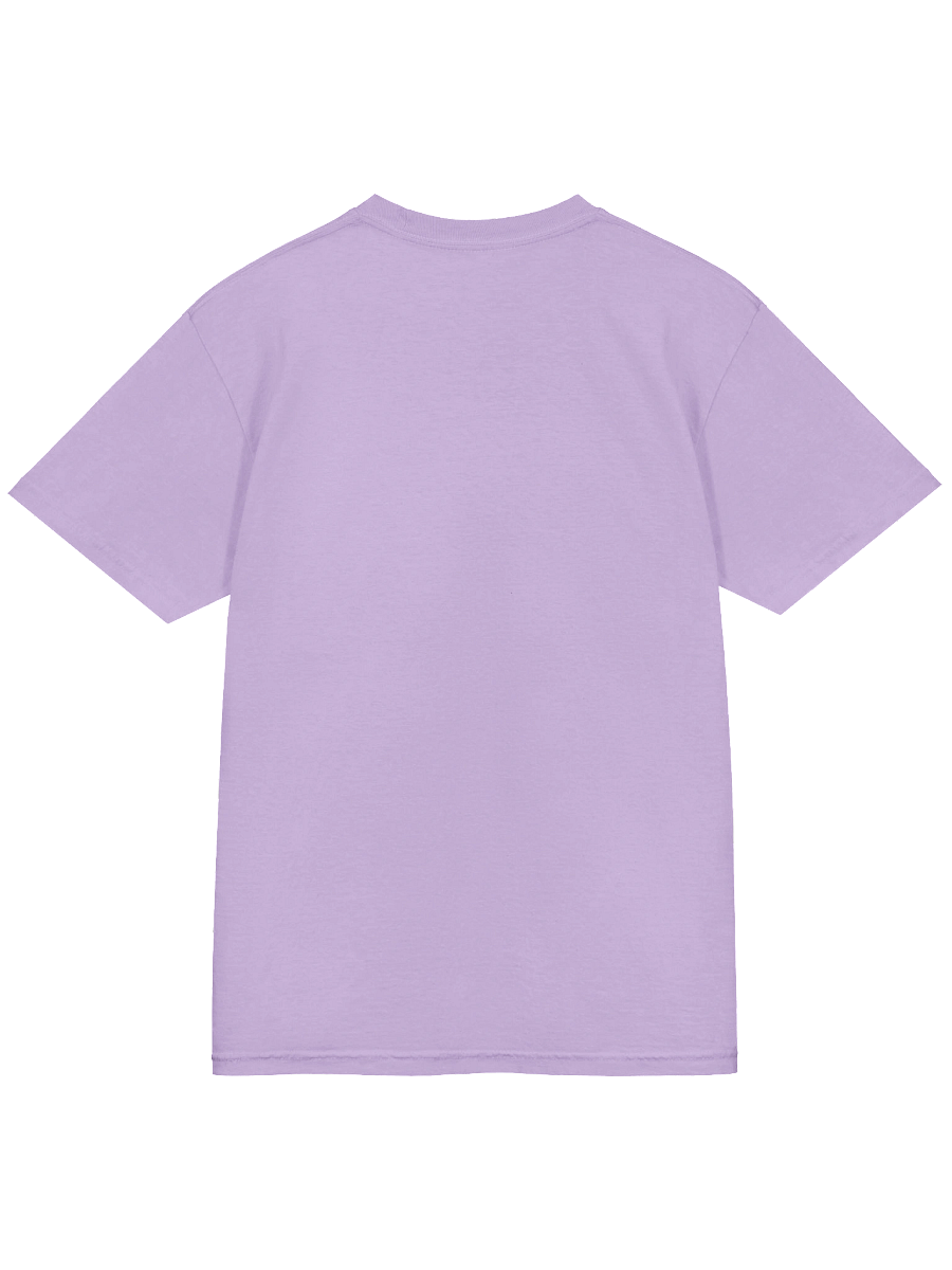 Gaymer Shirt (Alt) product image (47)