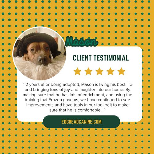 The results you get when you train with Egghead are LASTING - it has been years since Mason worked with me and his family is ...