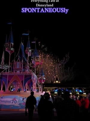 BNikki - Spontaneous (Disneyland Edition) #disneyland #spontaneous #fyp #foryou #music 