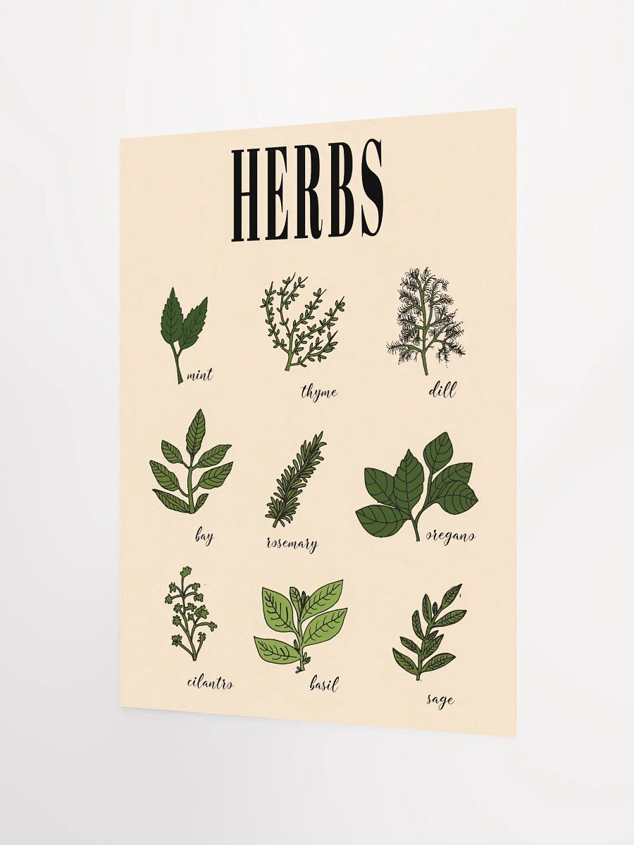 Vintage Culinary Herbs poster print product image (6)
