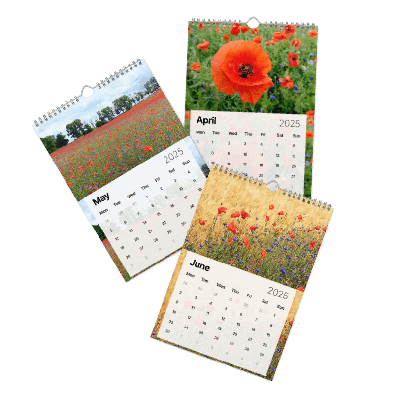 Calendar 2025 - Poppies product image (3)