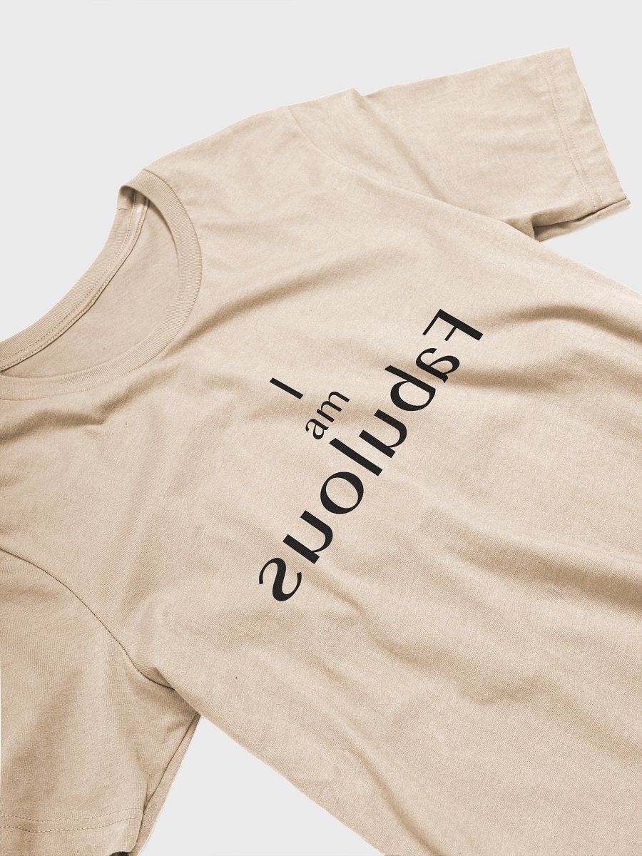 Mirror Message Tee – “I Am Fabulous” in Reverse (Read it in the Mirror) product image (22)