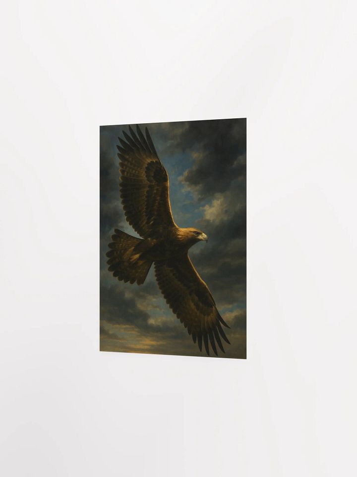 Wedge tailed eagle product image (5)