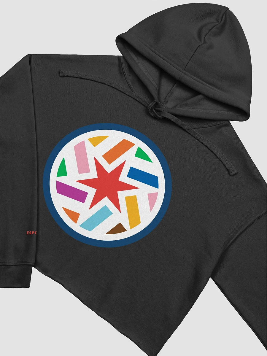 Cropped Hoodie Brand Refresh product image (3)