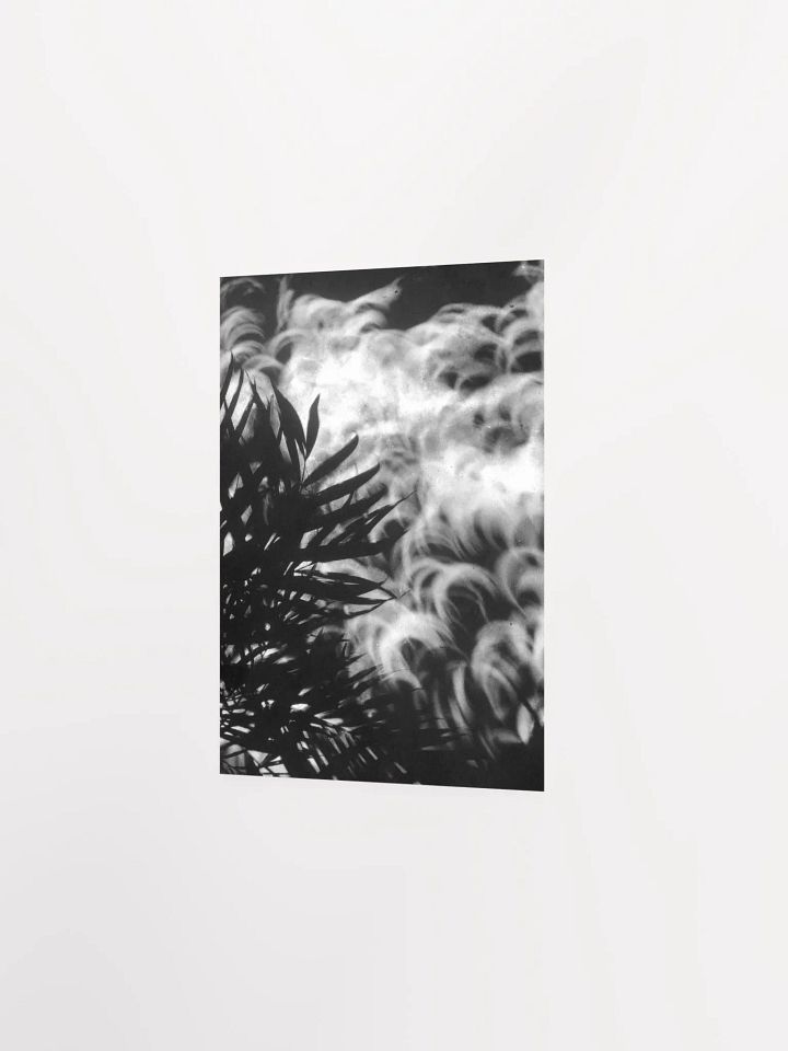Crescents of Light from the Eclipse - Poster 1 product image (16)