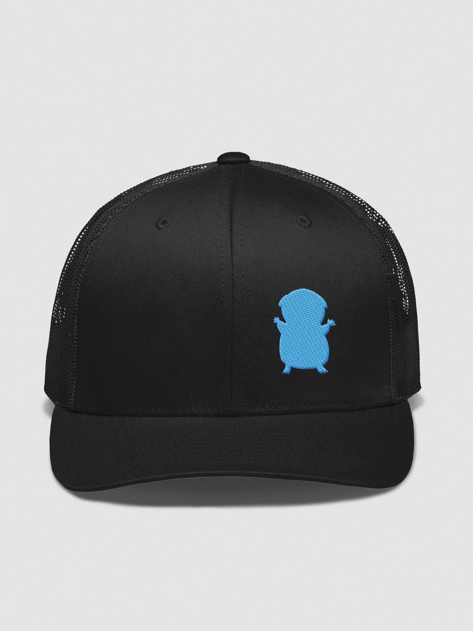 FIRESNOUT BLACK AND TEAL HAT product image (1)