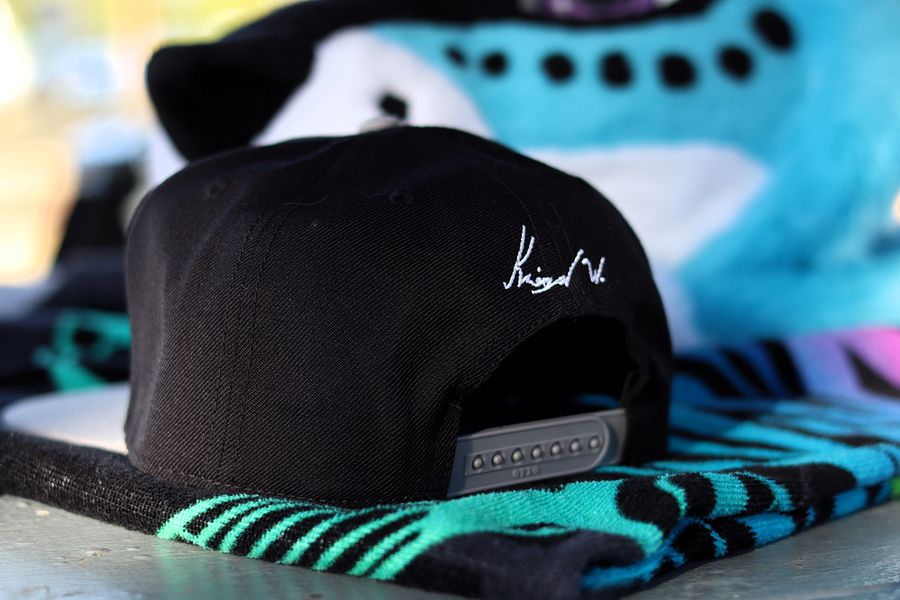 GEN-1 Embroidered Logo Snapback product image (6)