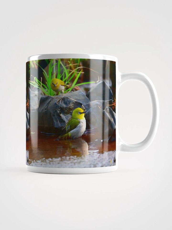 IUCAA Birds MUG product image (1)