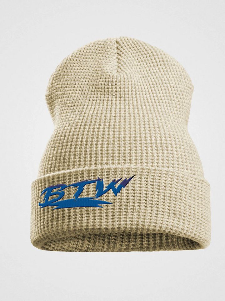 BTW Beanie product image (2)