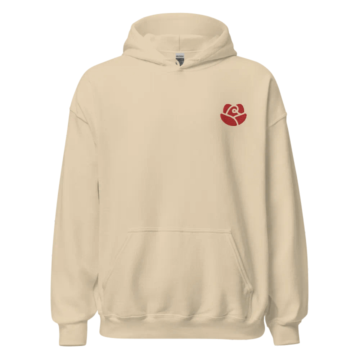 Gildan Classic Embroidered Hoodie product image (2)