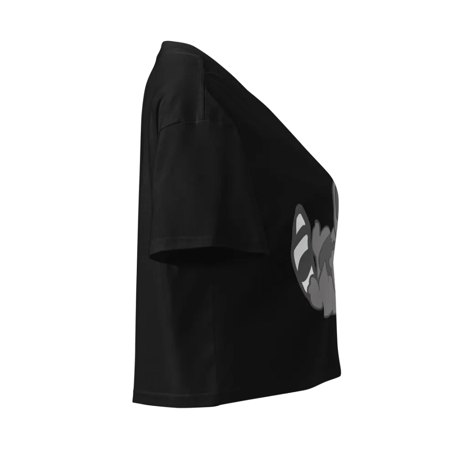 foreheadkisses4thehomies raccoon crop top product image (3)