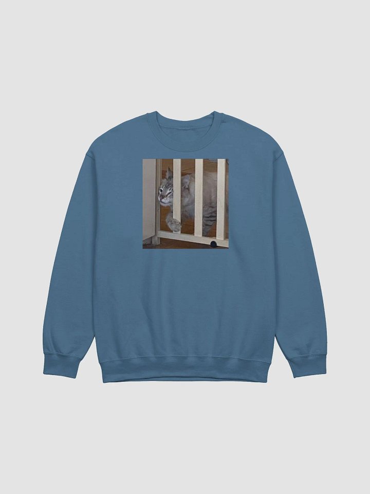 Cat Jail product image (2)