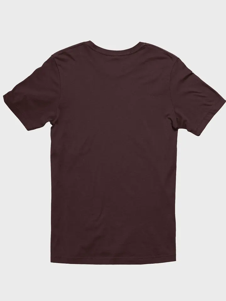 History is (re)Written By the VST T-Shirt product image (10)