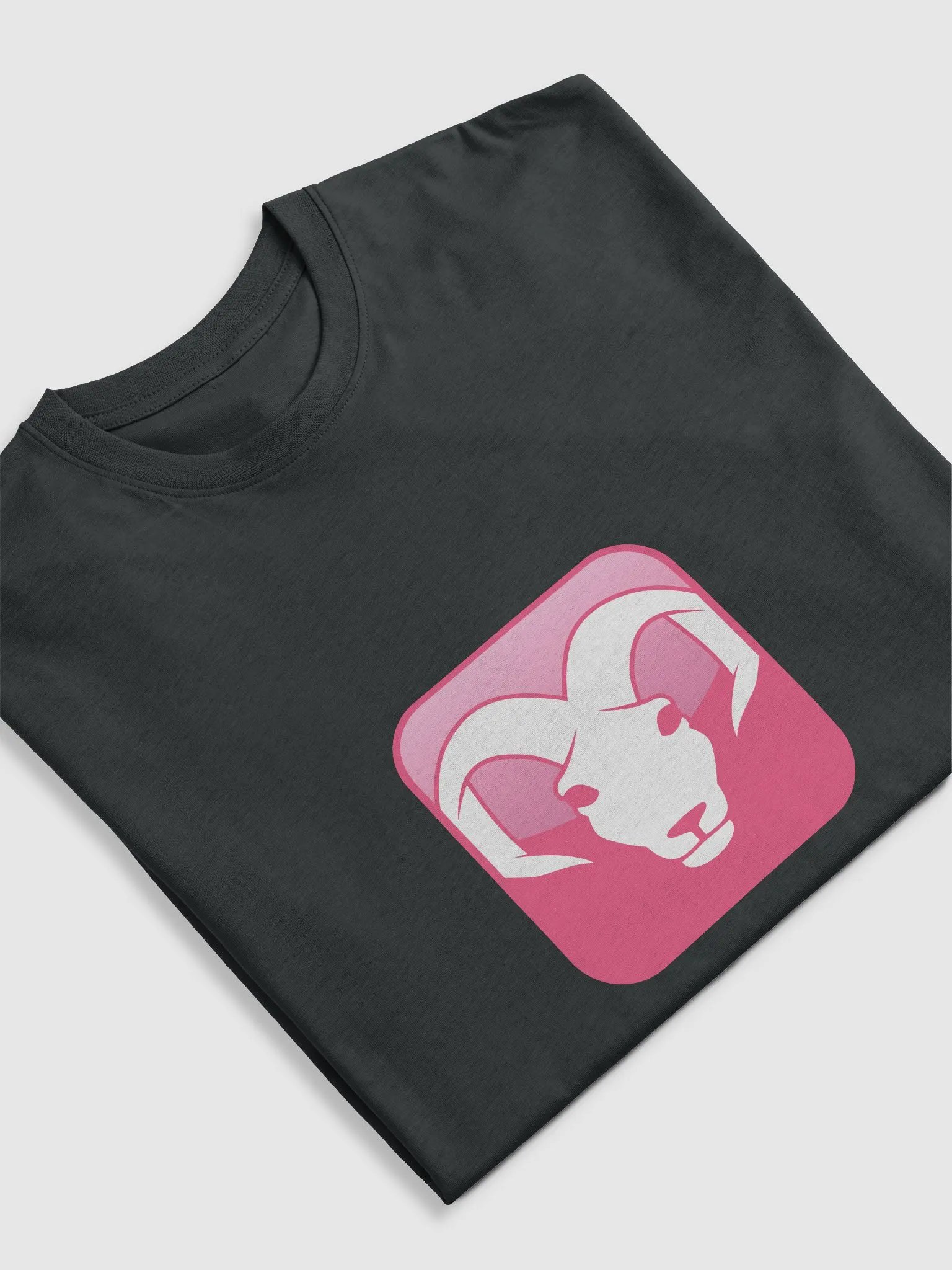 ARIES T-shirt product image (34)