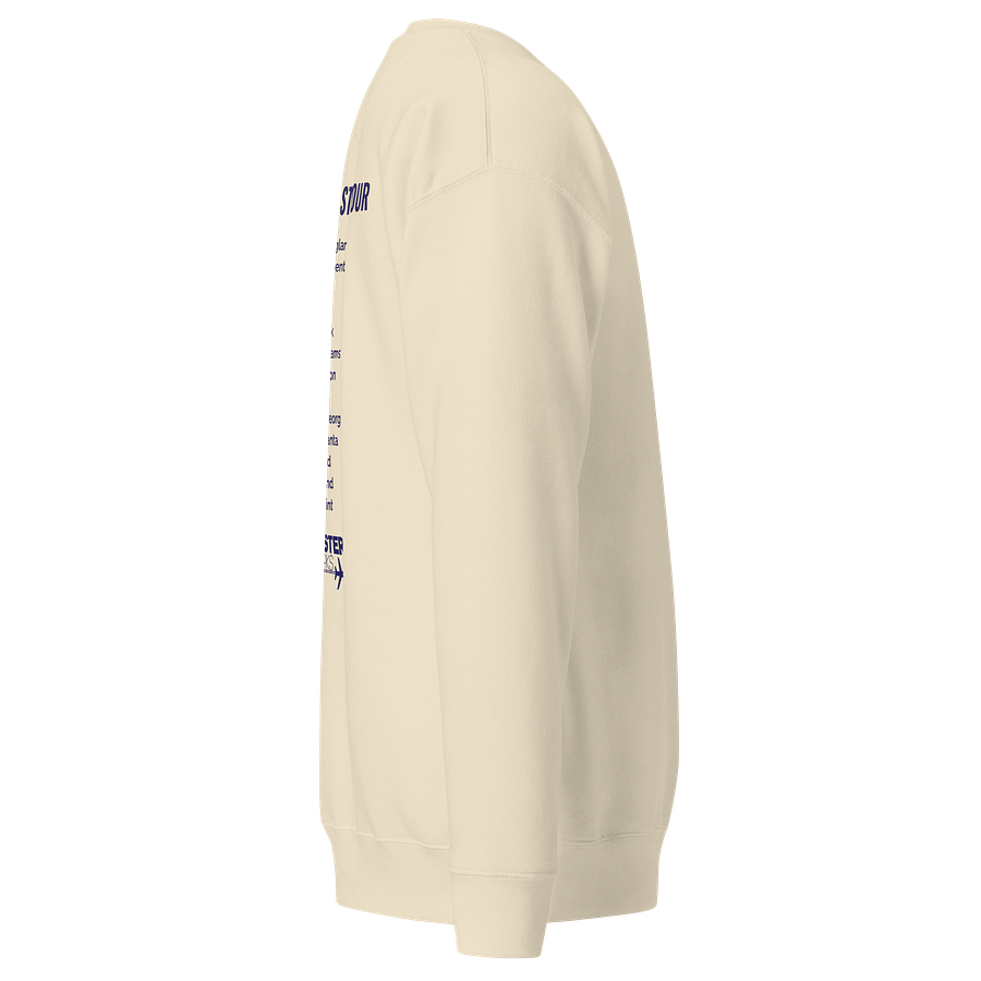 USA East Coast Tour CB Logo Sweatshirt - Light Colours product image (10)