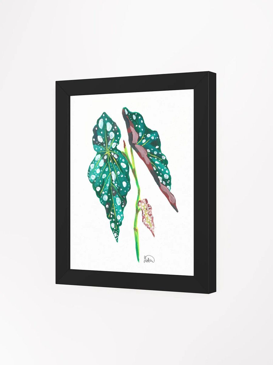 Begonia Frame product image (82)
