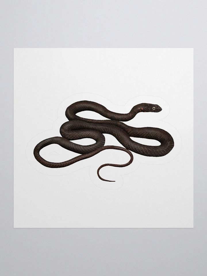 Die-Cut Sticker – Black Coachwhip product image (1)