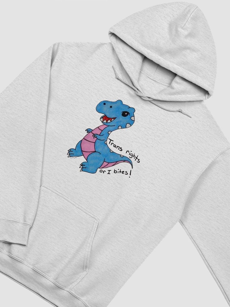 Trans Rights! product image (27)