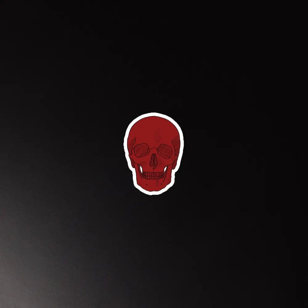 Skull magnet product image (5)