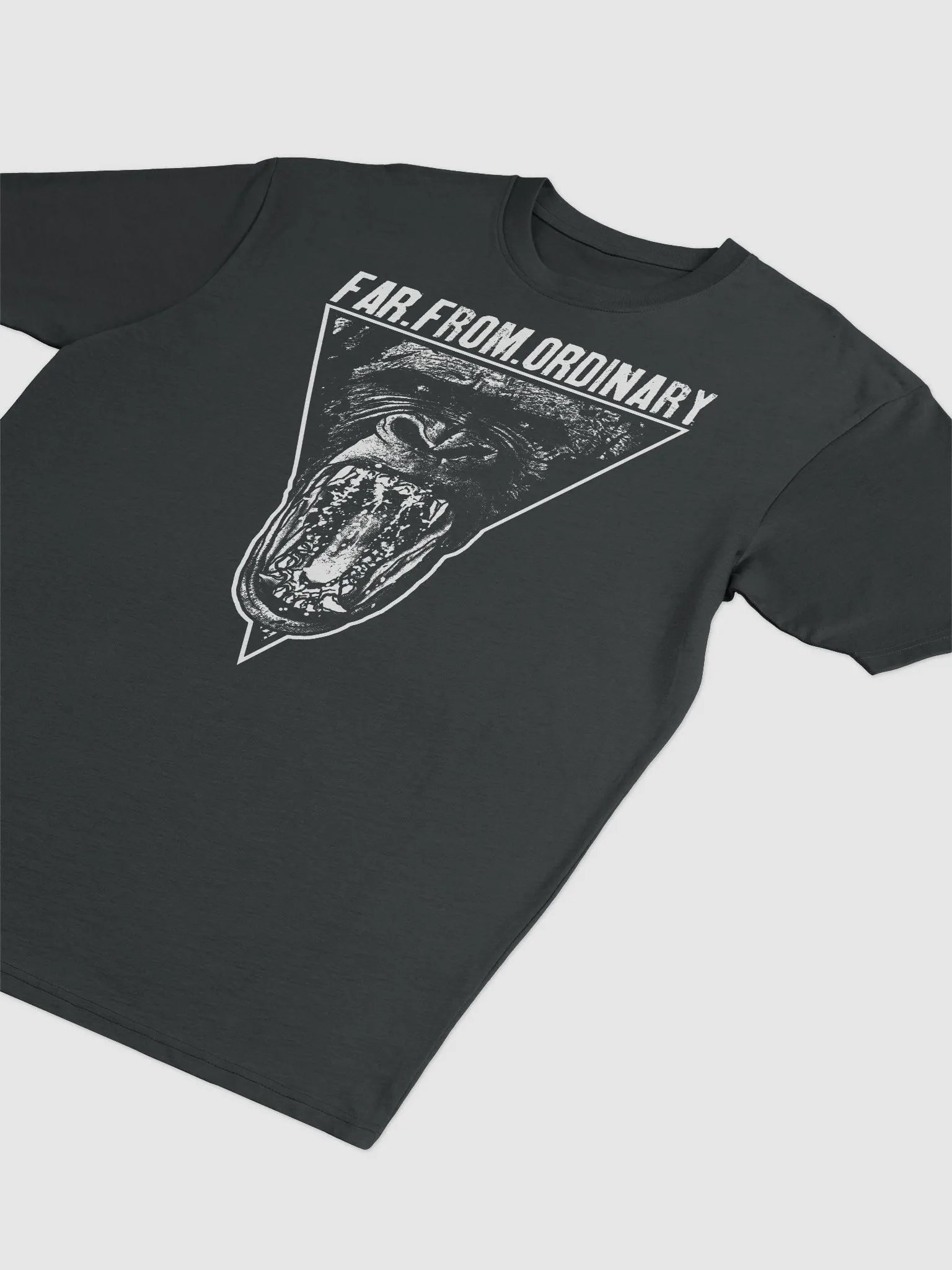 Far From Ordinary Heavyweight Tee product image (3)