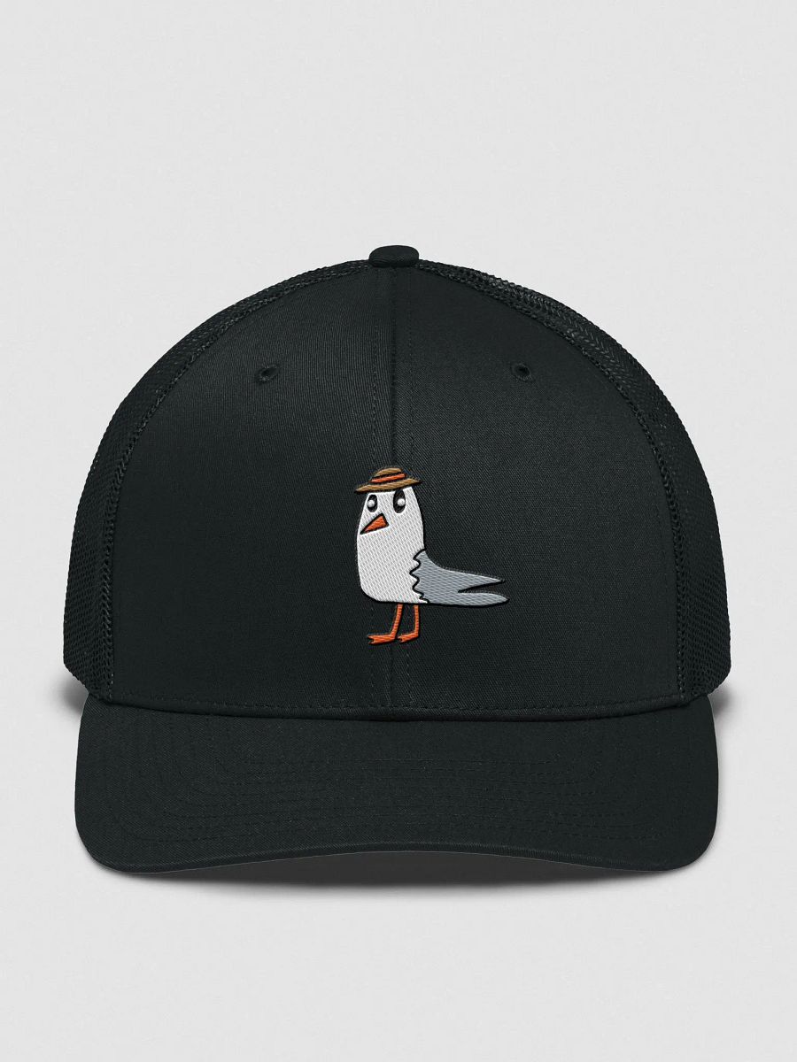 Lil Gull Snapback Hat product image (5)