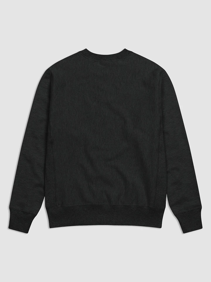 'Galactic' Champion Cotton Max Sweatshirt product image (2)