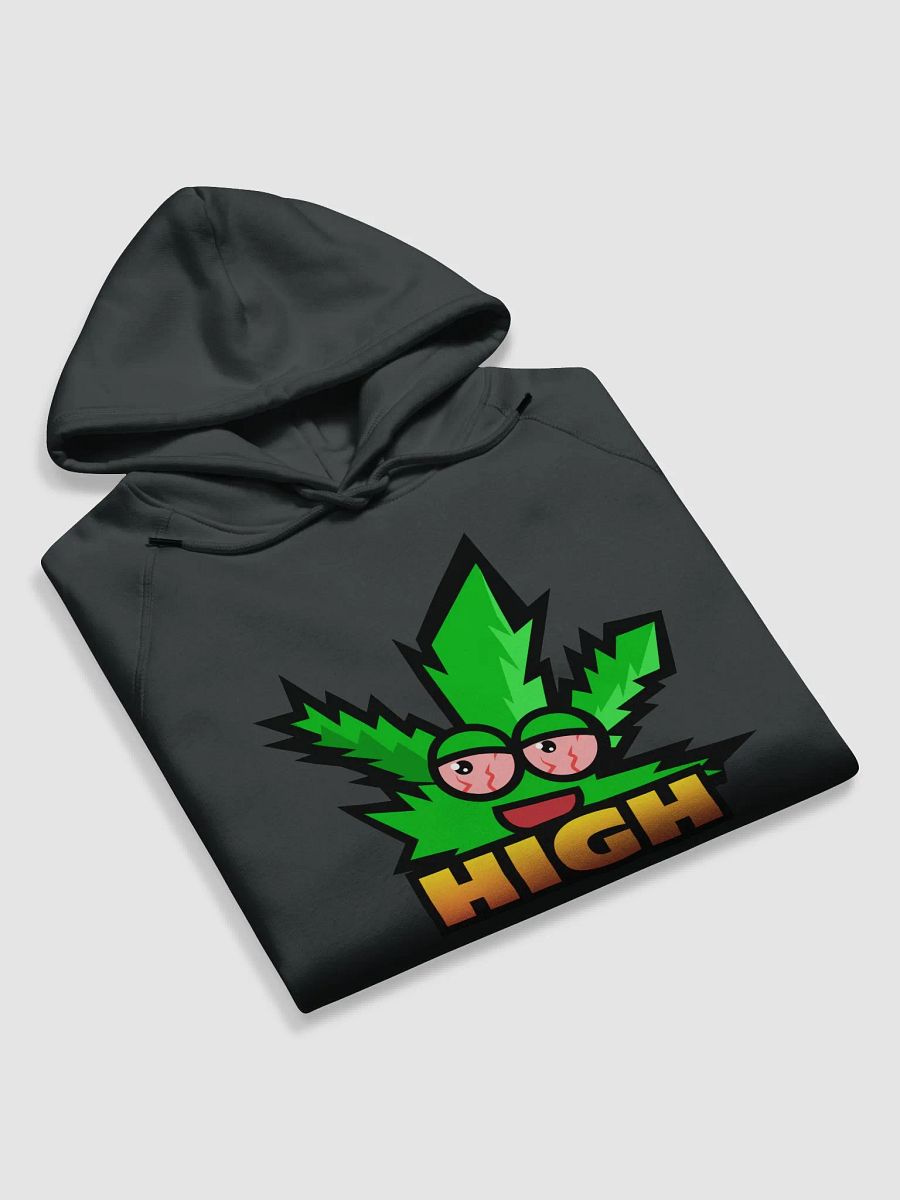 HIGH LIFE ECO HOODIE product image (6)