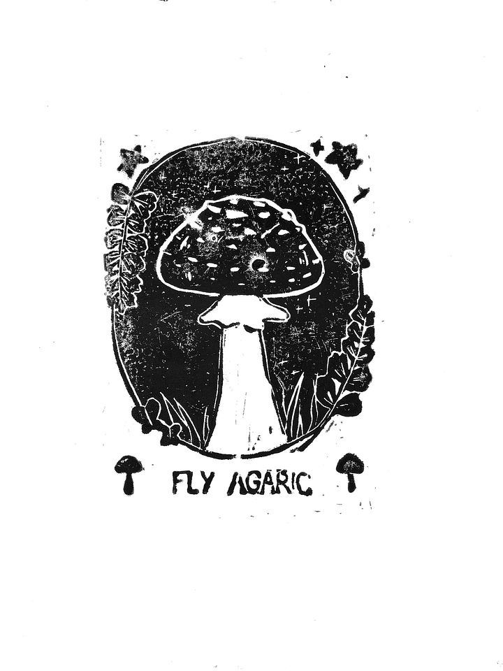 Fly Agaric Print product image (1)