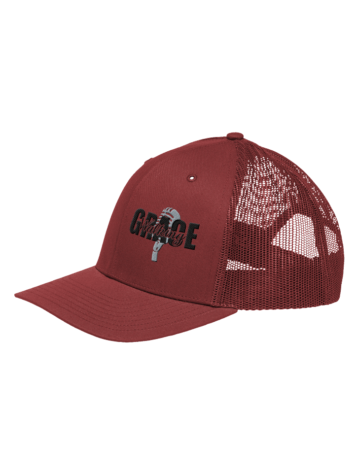 Walking in Grace product image (5)
