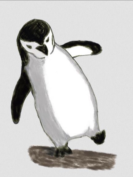 Members Digital Download #4 - Penguin product image (1)