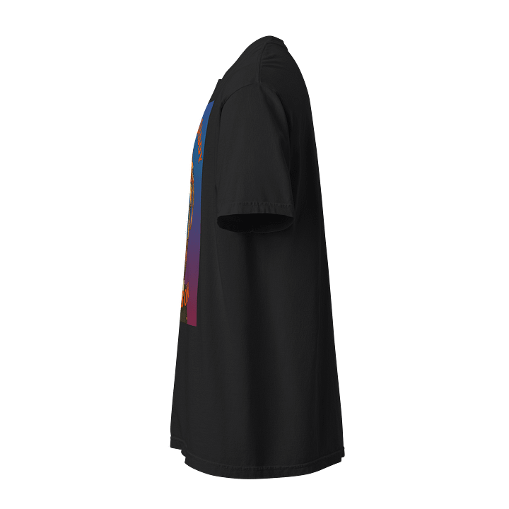 HDS product image (2)