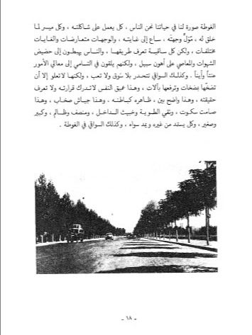 دمشق صور من جمالها وعبر من نضالها - علي الطنطاوي product image (4)