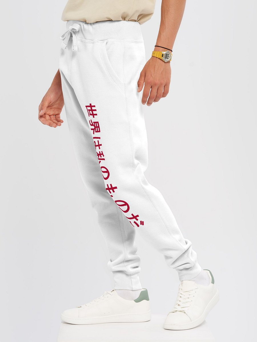 THE WORLD IS MINE x JAPAN product image (6)
