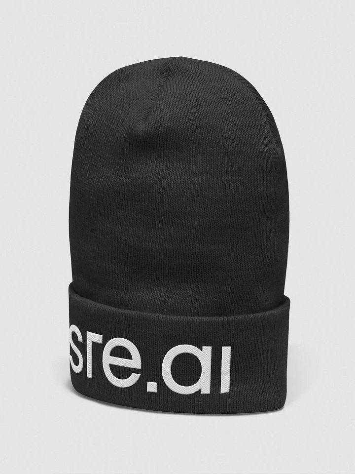 Beanie product image (2)