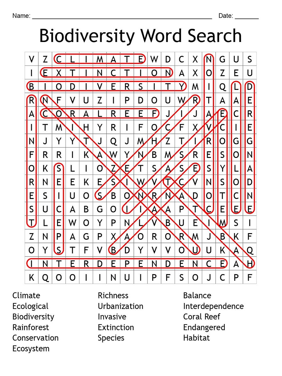 Biodiversity Word Search: Explore 16 Key Ecology Terms! product image (2)