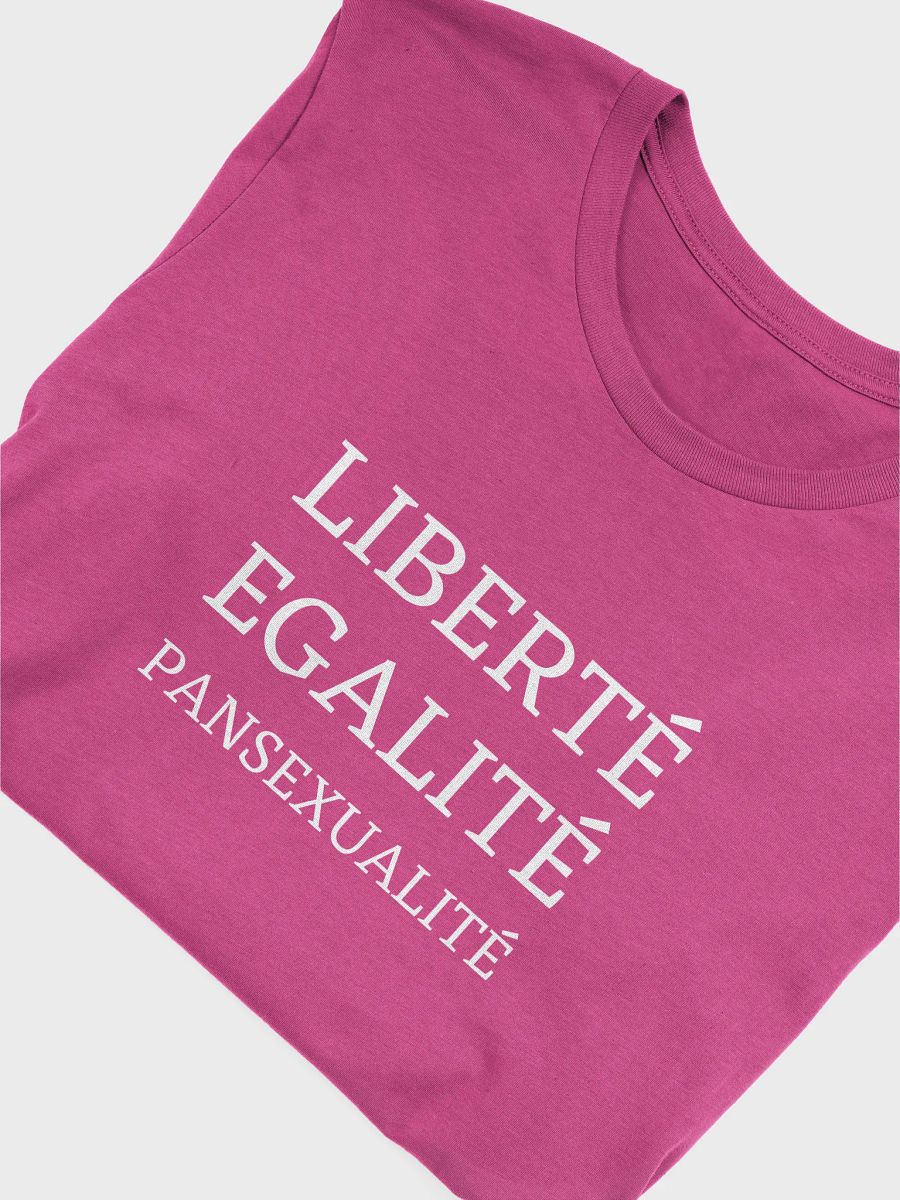 liberte egalite pansexualite t-shirt product image (5)