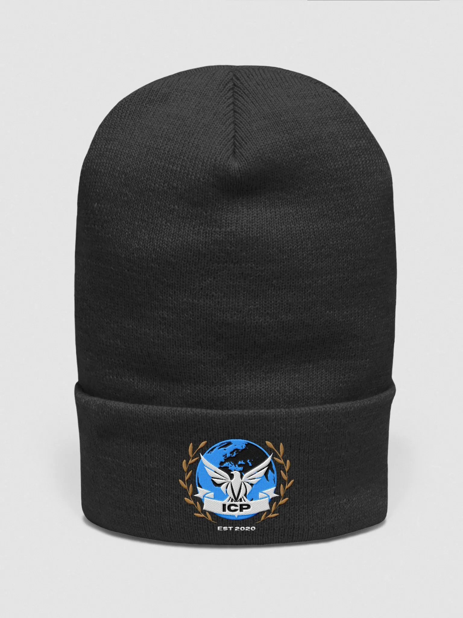 ICP Beanie product image (1)