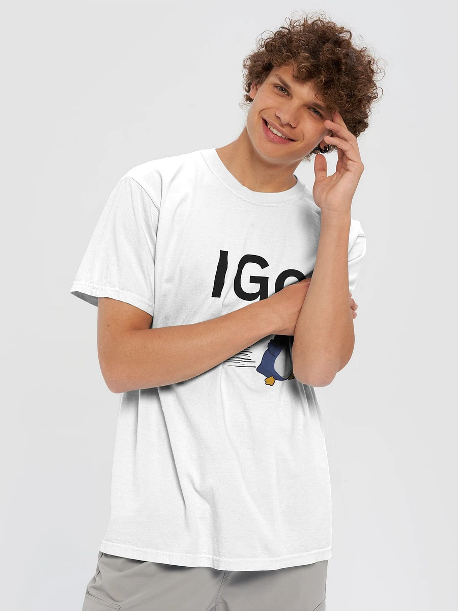 IGo product image (5)