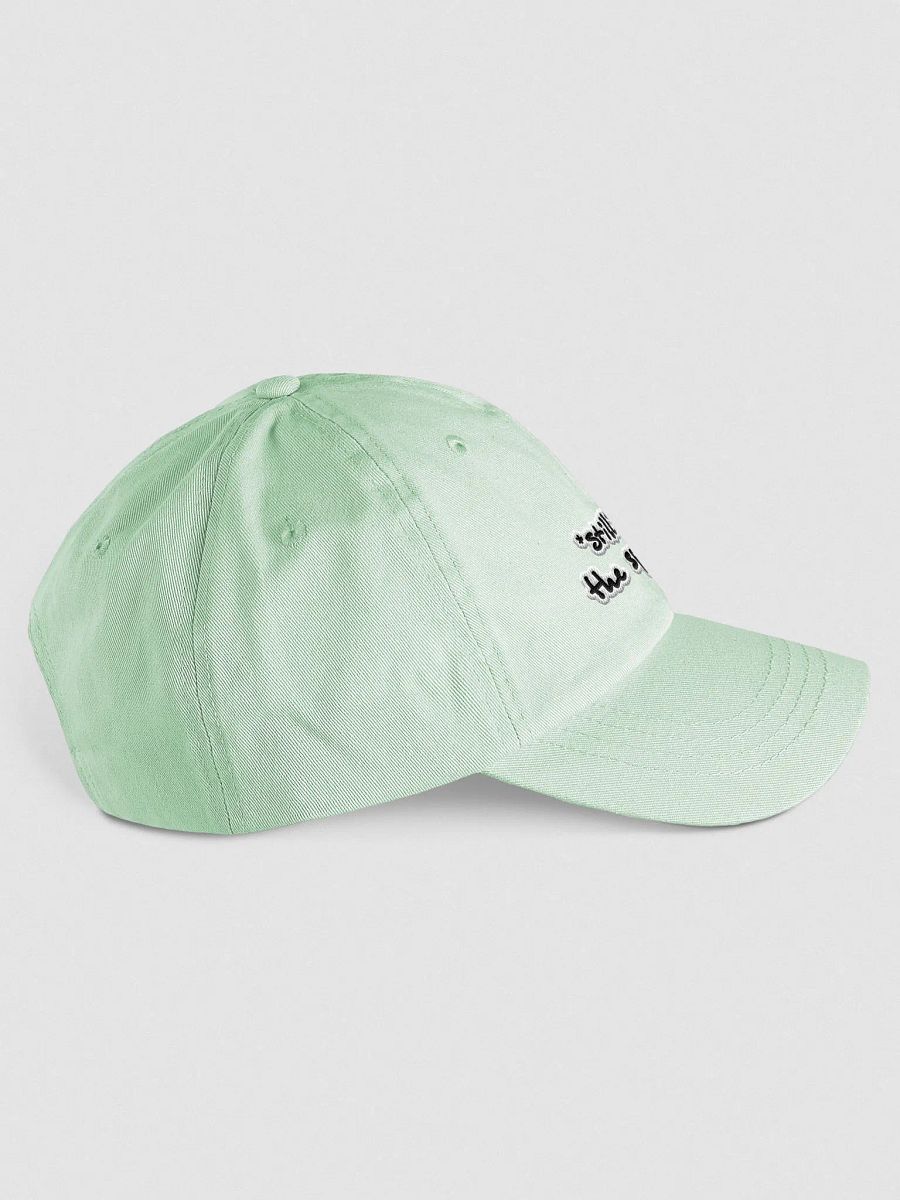 *still* on the specturm pastel dad hat (bubble design) product image (4)