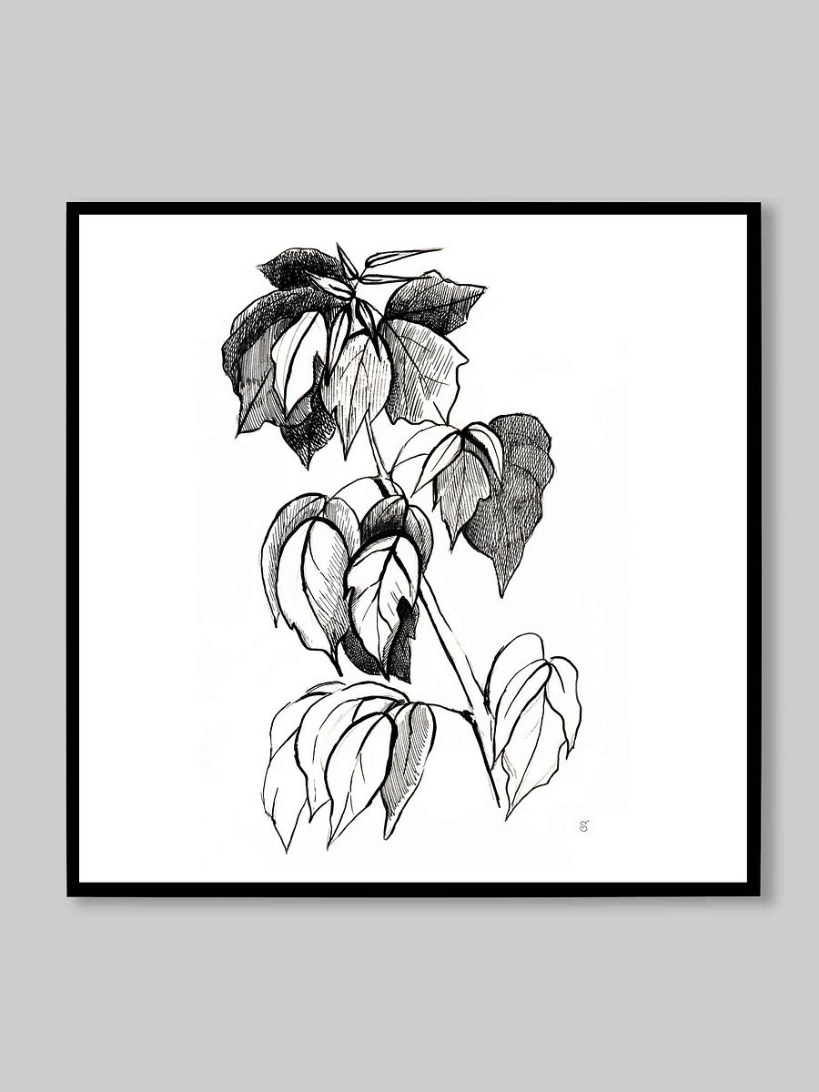 Botanical Line Art Canvas Print - Stylish Graphical Twig product image (10)