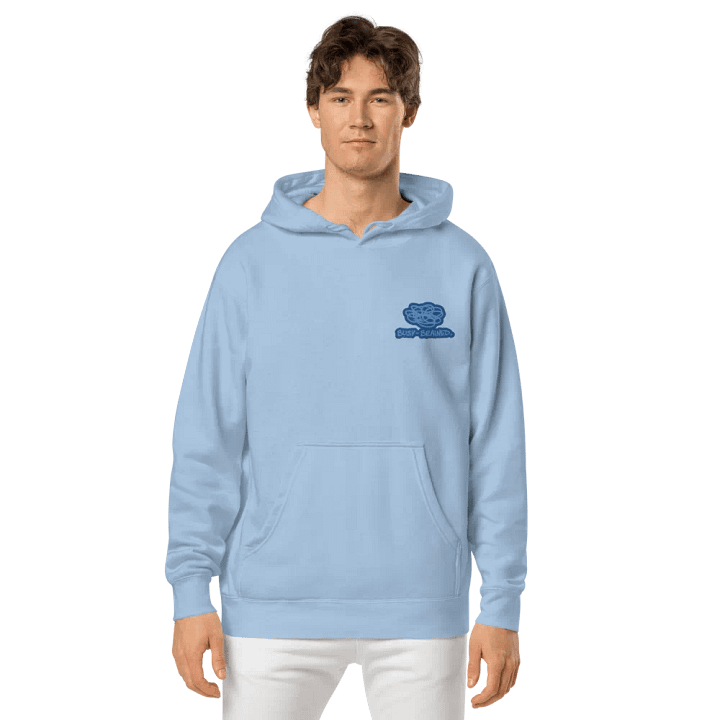 BUSY-BRAINED (L.C. creek design) embroidered pigment hoodie product image (2)