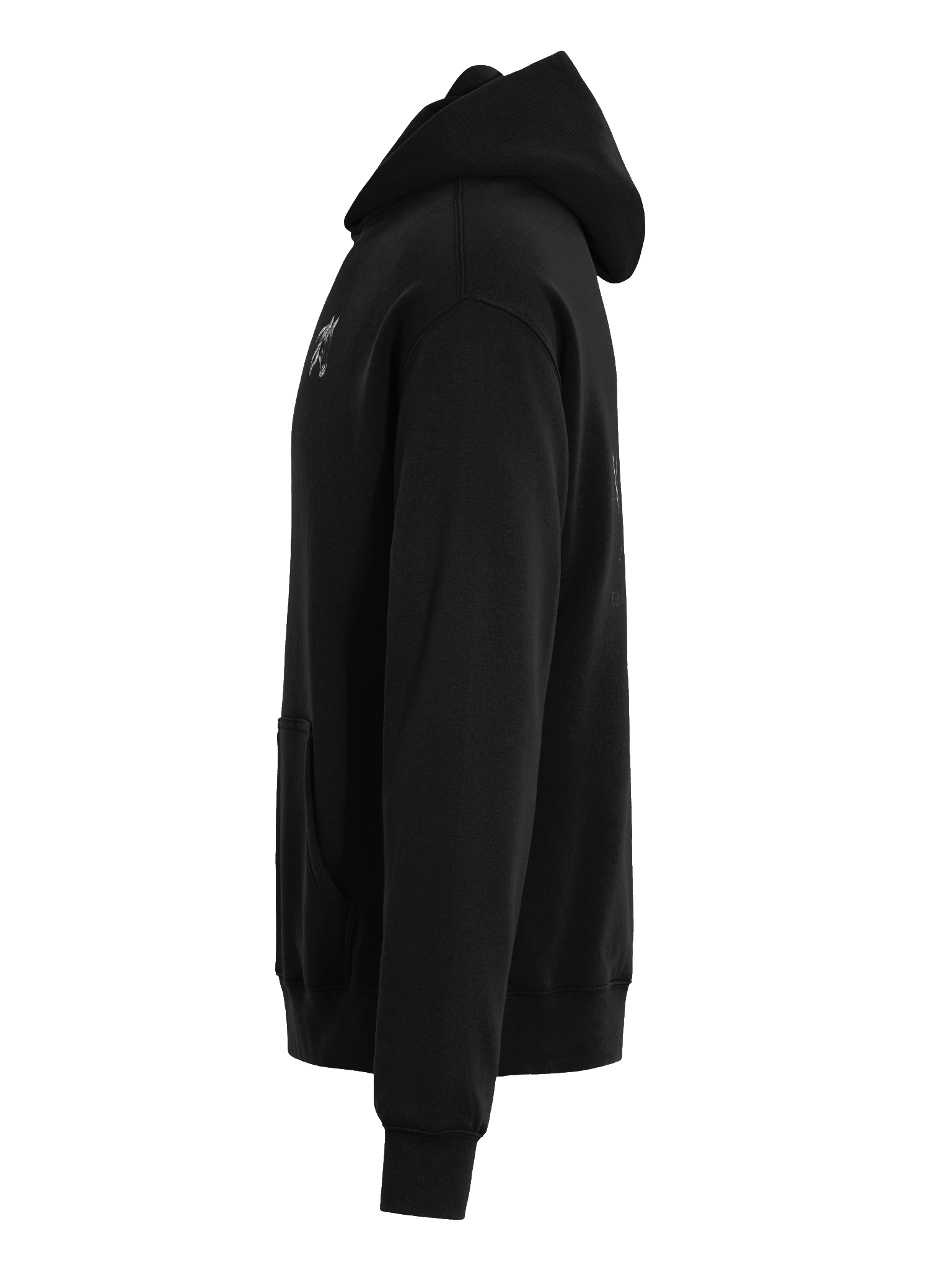 Sanctuary Hoodie product image (13)