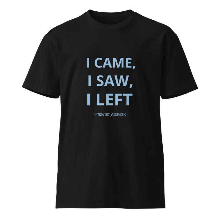 Introvert Aesthetic Unisex Tee product image (1)