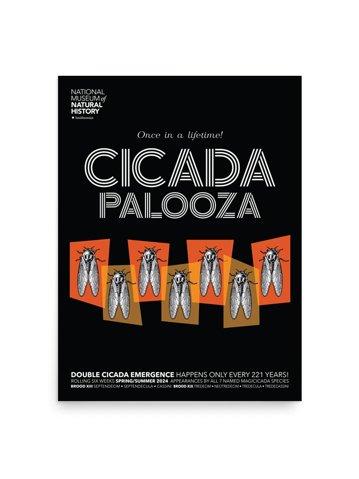 Cicada Palooza Poster product image (1)