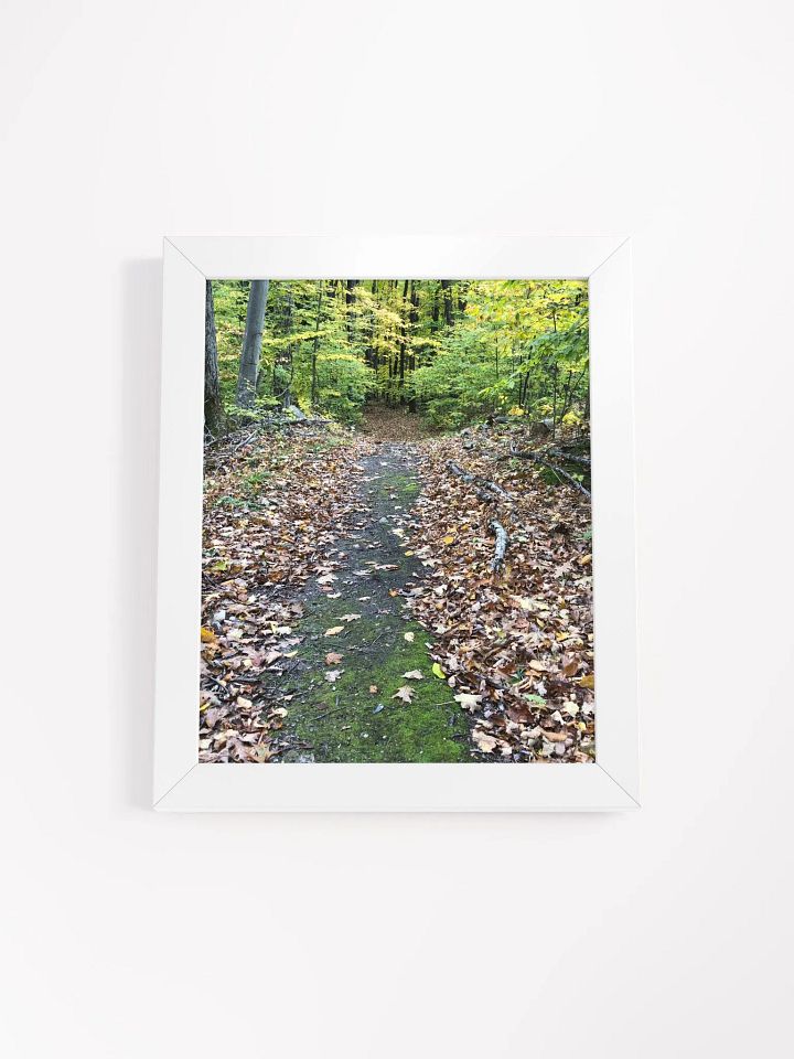 Trail in the Fall High Quality Matte Poster product image (1)
