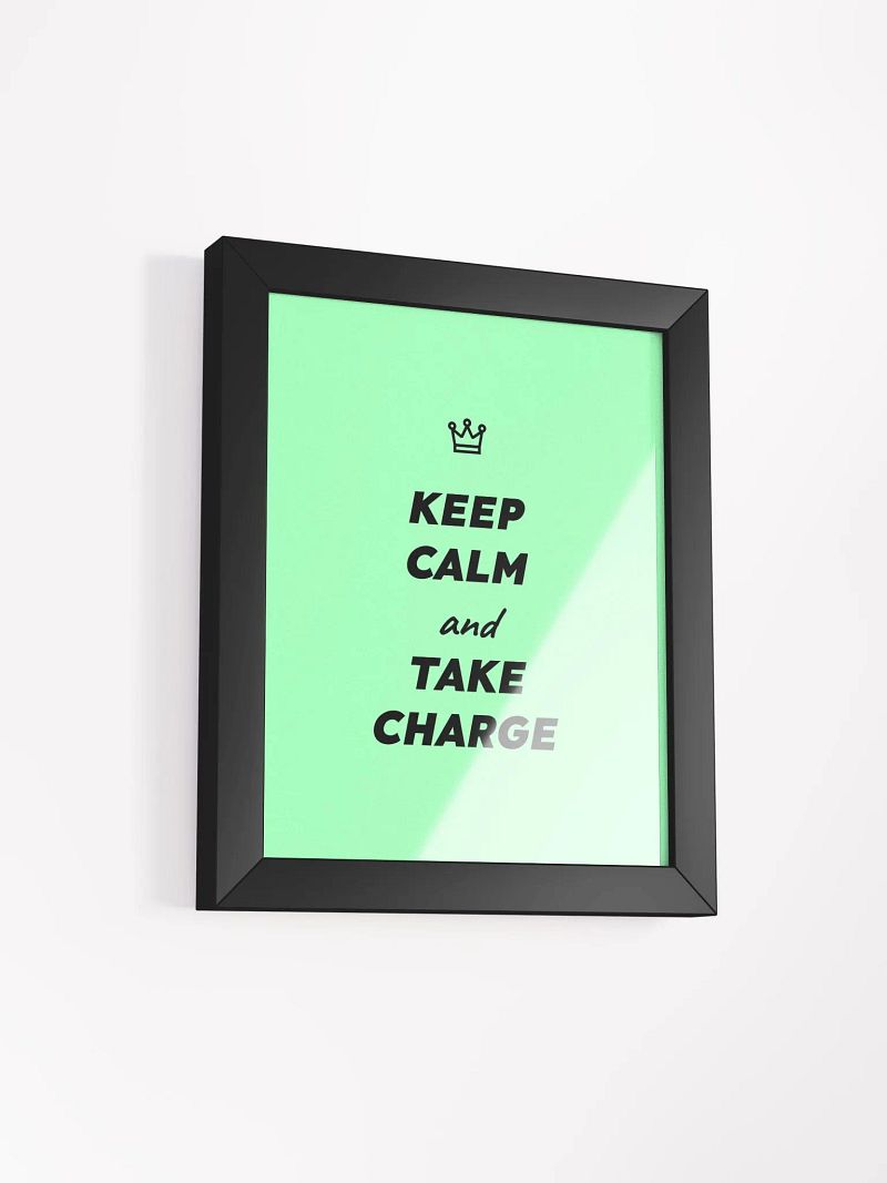 Keep Calm and Take Charge poster