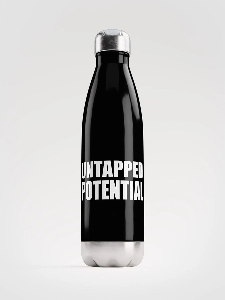 Untapped Potential Stainless Steel Water Bottle product image (1)