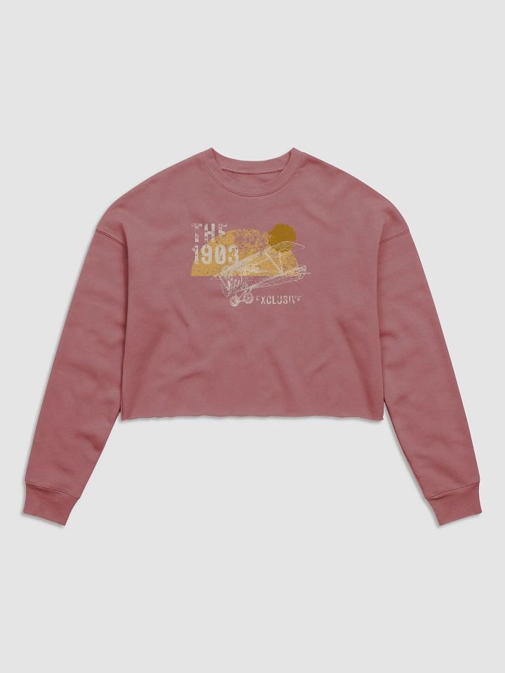 Ladies Cropped Bi Plane Sweatshirt product image (17)