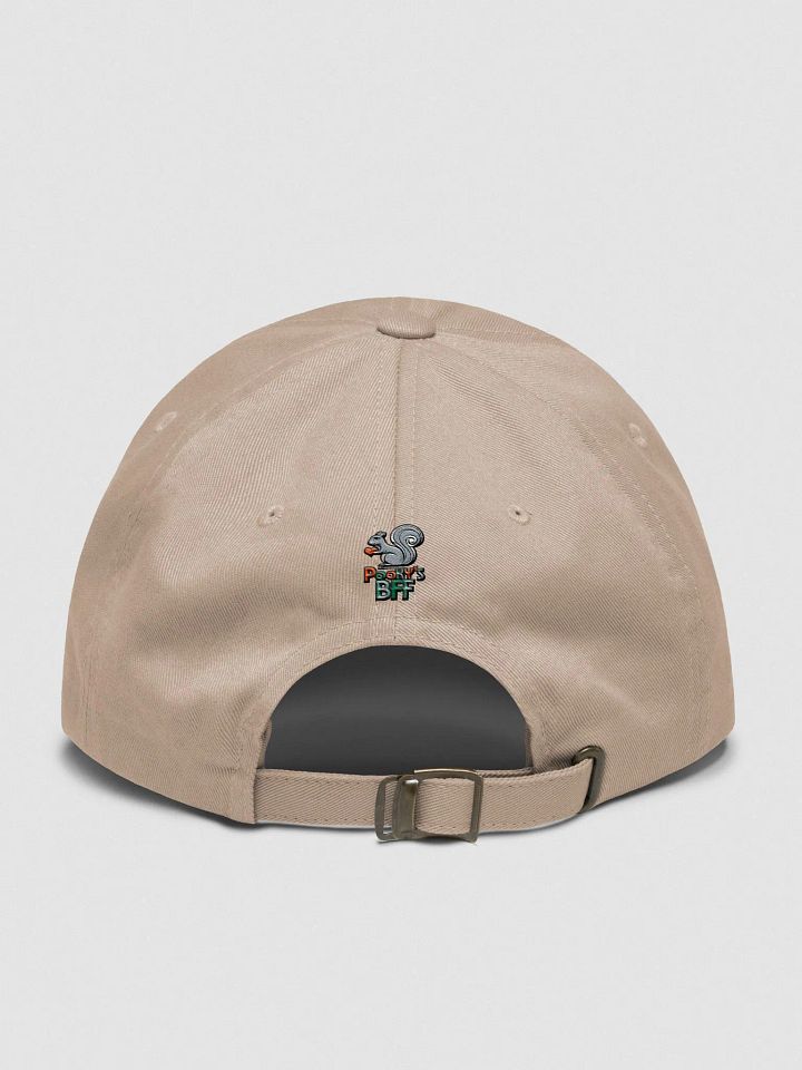 Baseball Hat Embroidered: Pooky's BFF, Colorful lettering, grey squirrel with red heart product image (2)